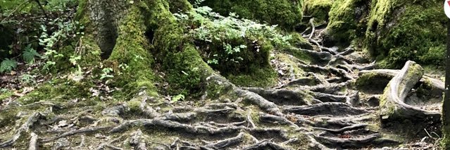 Digby Chacksfield banner