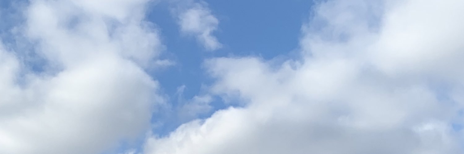 Adrianna S-J, LMSW banner