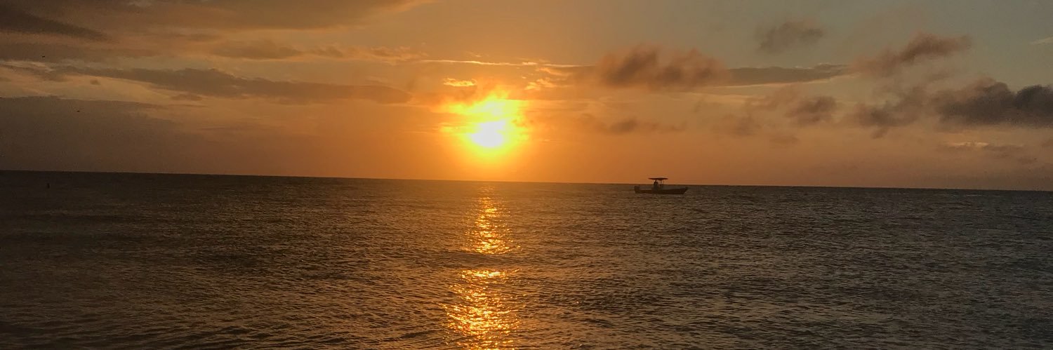 SarahhhMooreee's profile banner image