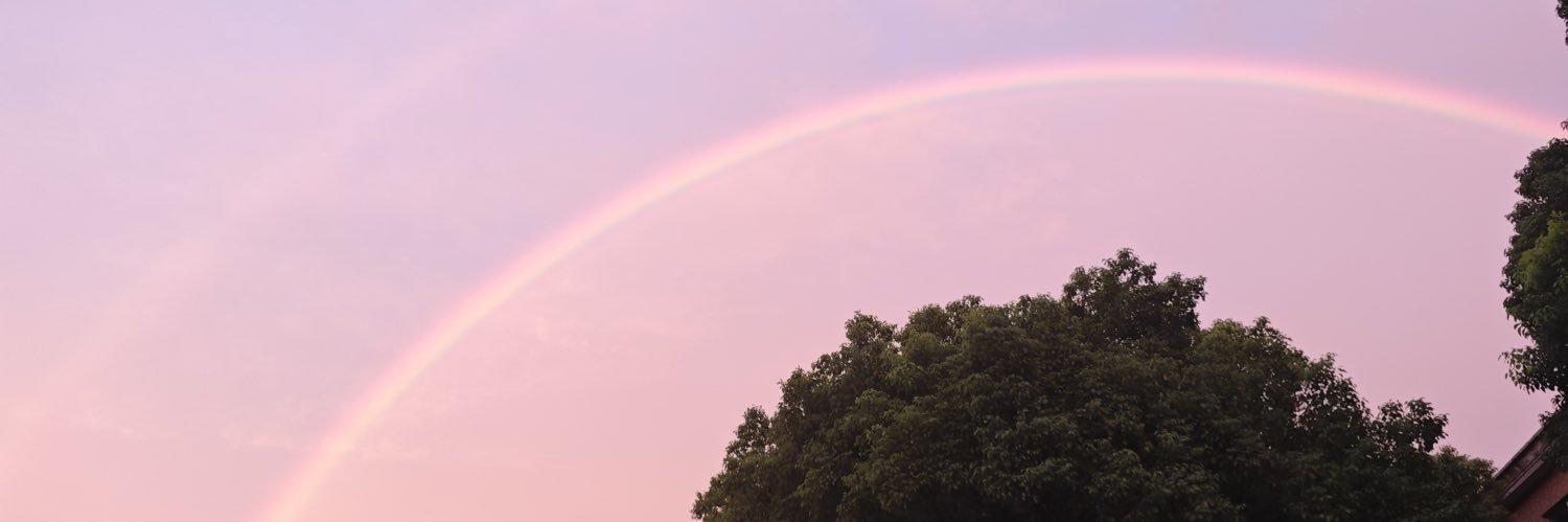 果粒橙 banner