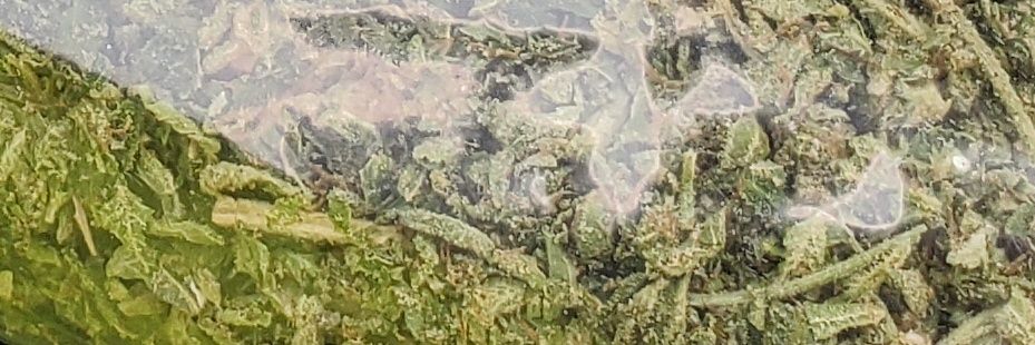 mr_ursh's profile banner image