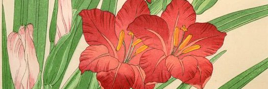 Incorrect TGCF banner