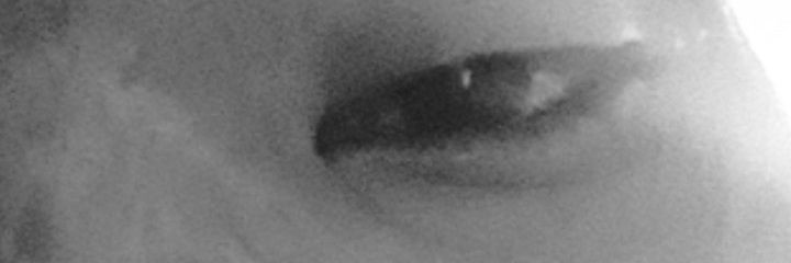 _RedSun39's profile banner image