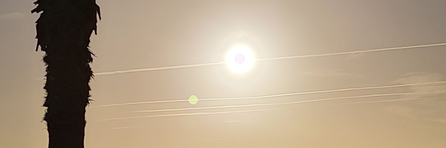 Gemma Puig's banner