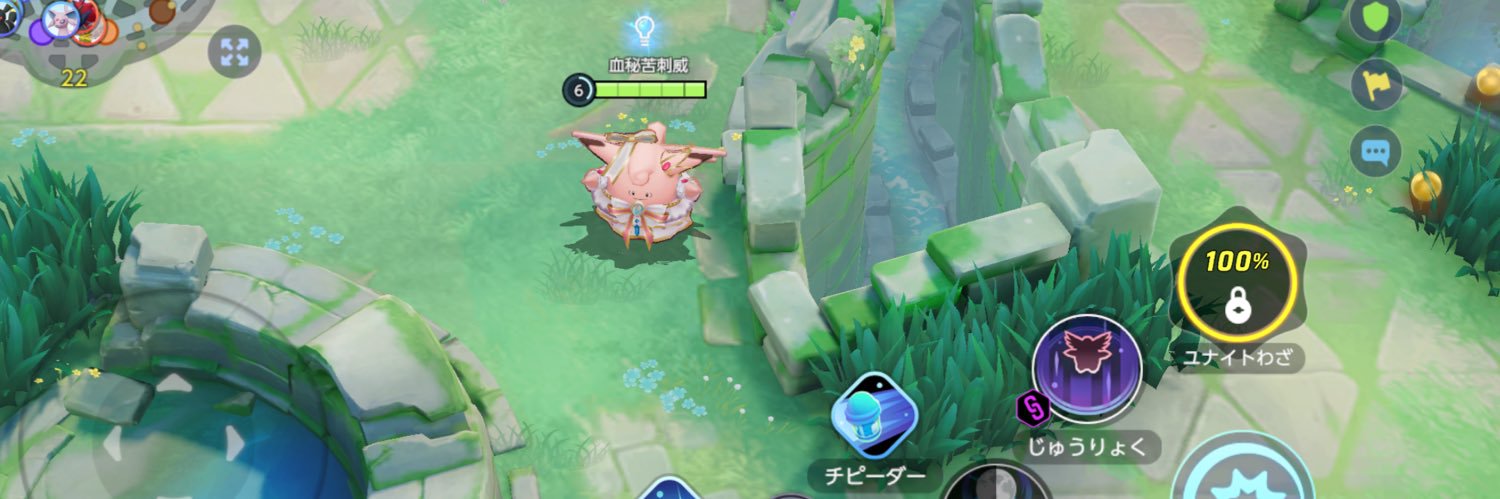 ちぴ🌺 banner