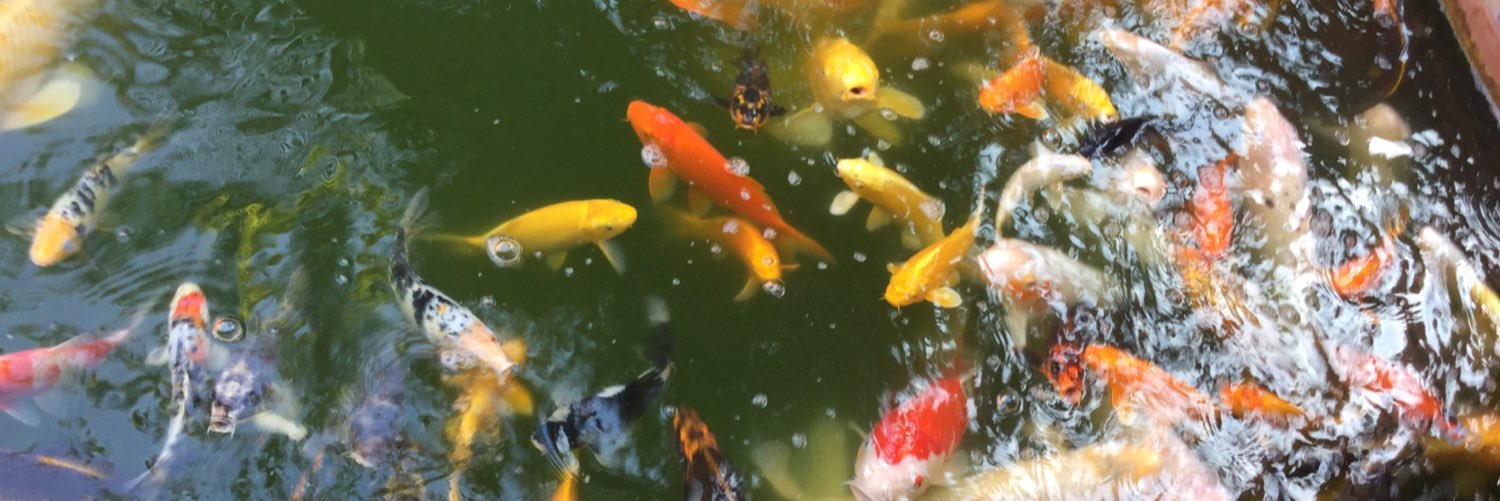 Eoghan Flanagan banner