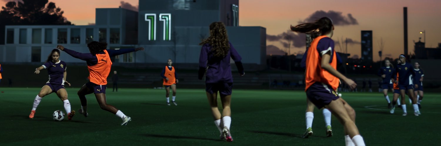 bearibeiro24's profile banner image