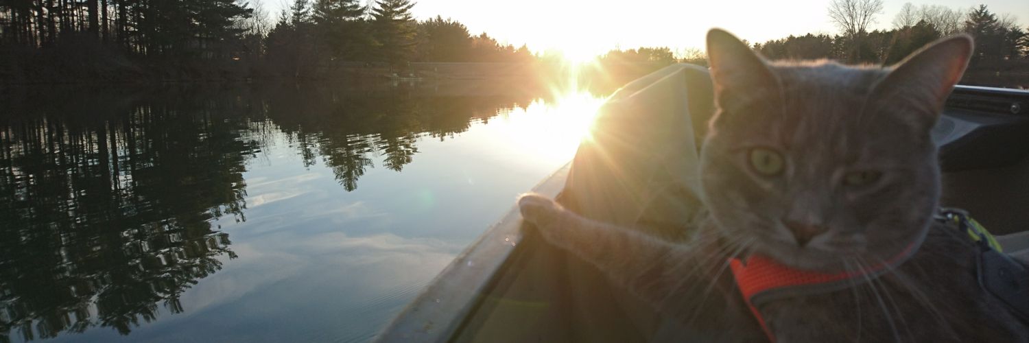 DannyLioned's profile banner image