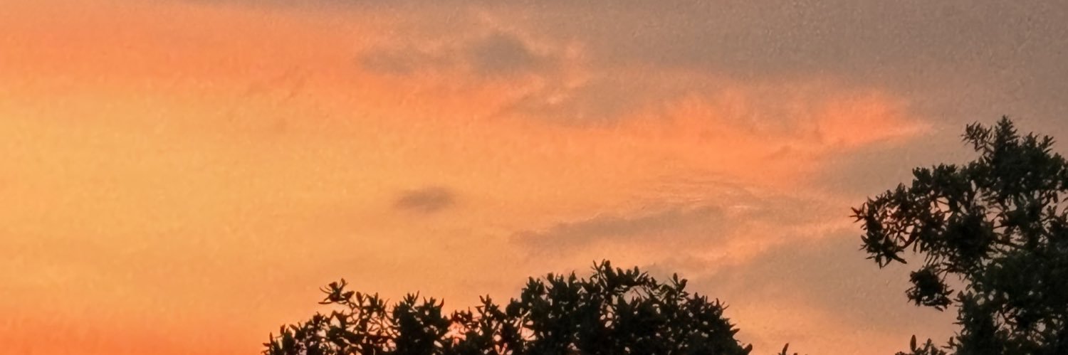 Jess_winee's profile banner image