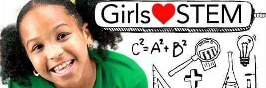 fems4STEM's profile banner image