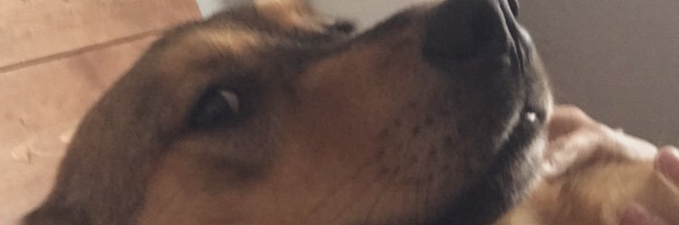 SummerBlackmon's profile banner image