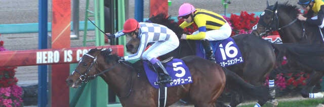 daisuke🧸🐱🤍 banner