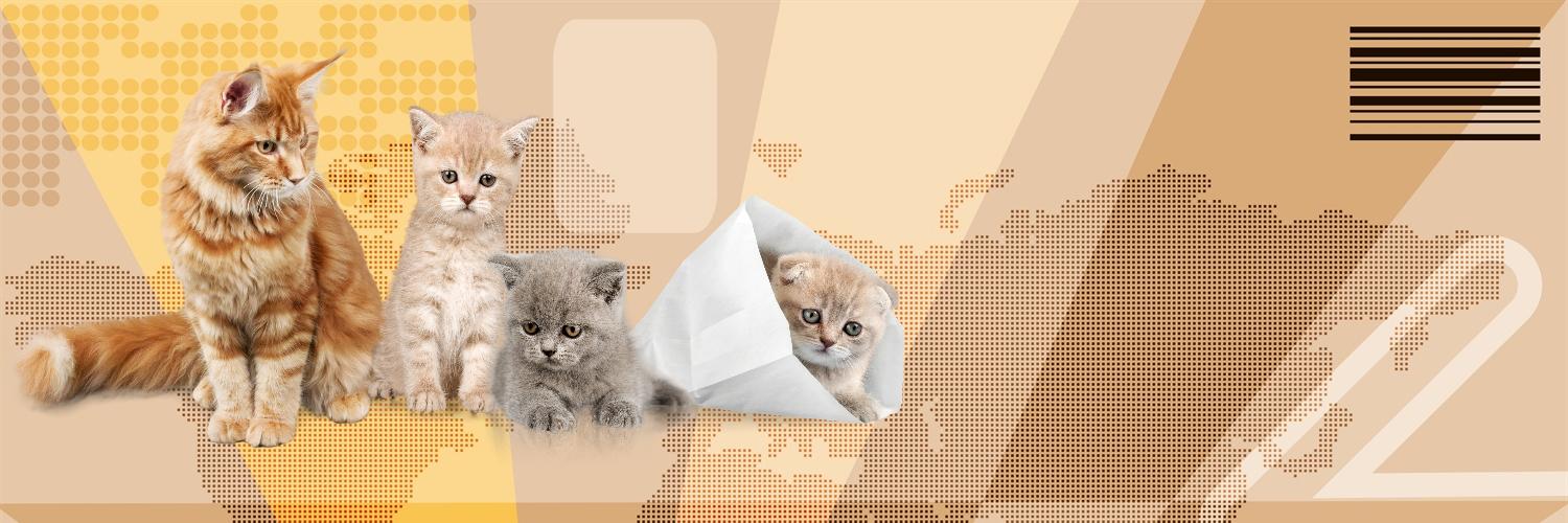 emptyforce's profile banner image