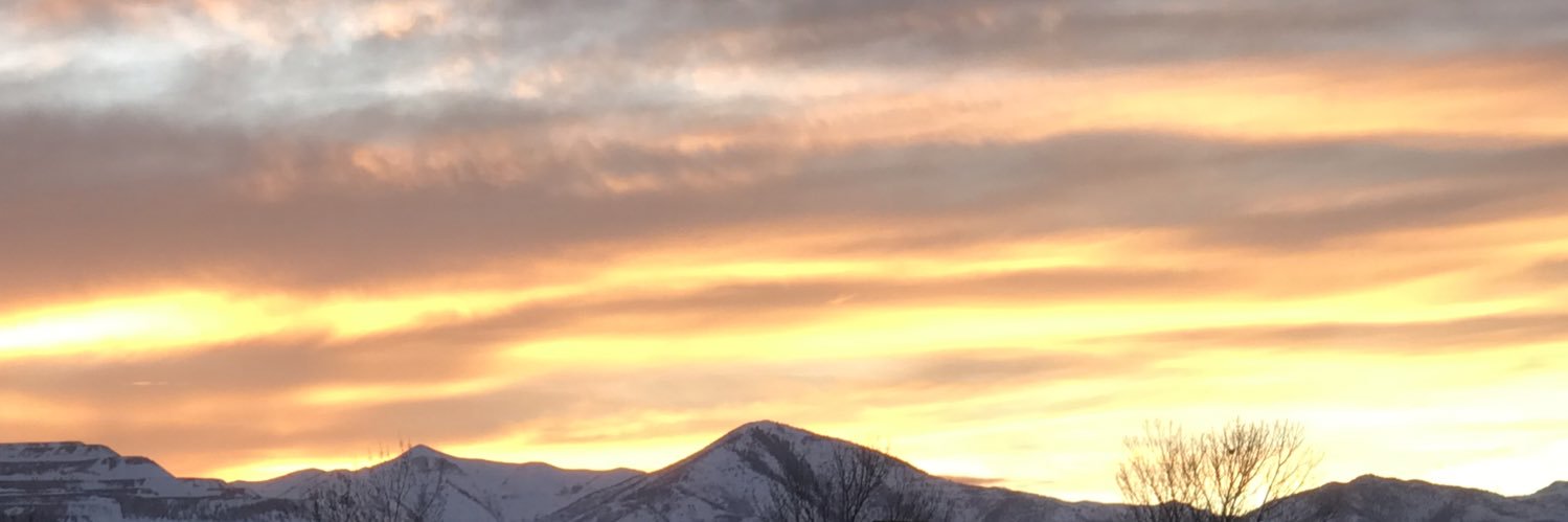 Average American banner