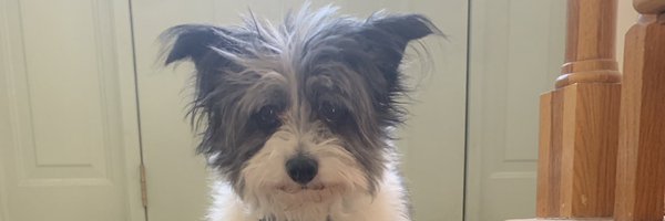 robhenry123 Profile Banner