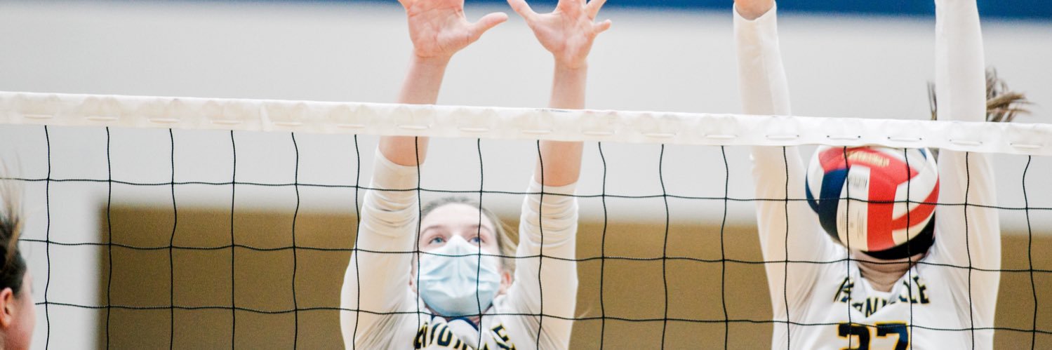 Daily Local Sports banner