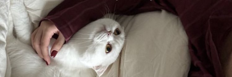 glcnaygn7's profile banner image