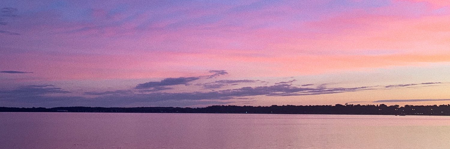 sophie abraham banner