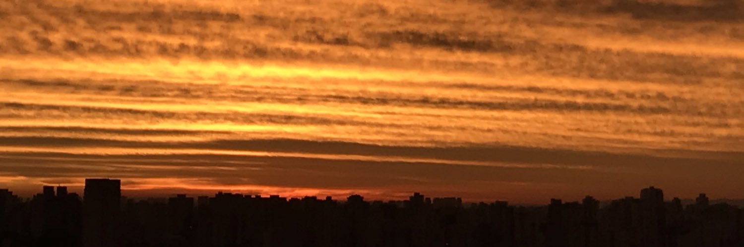 mariliaml's profile banner image