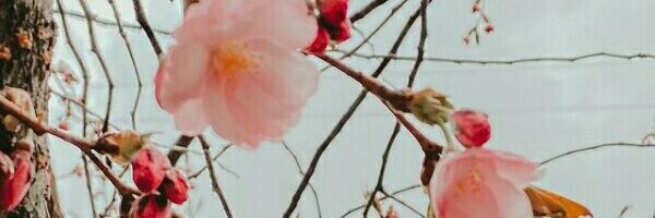 IrinaRuarte's profile banner image