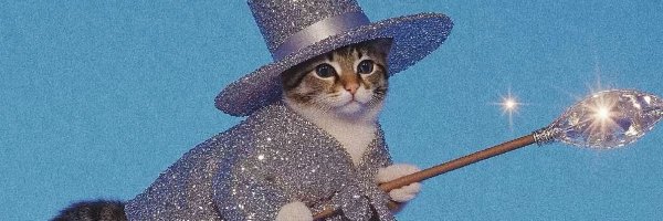 carterfmotion Profile Banner