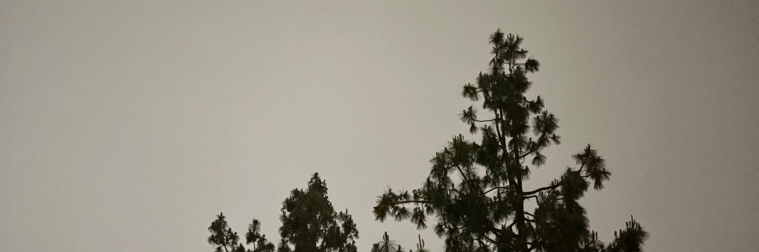 opium290's profile banner image