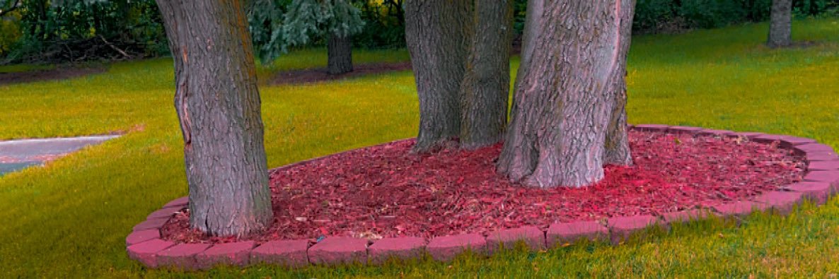 B_inas's profile banner image
