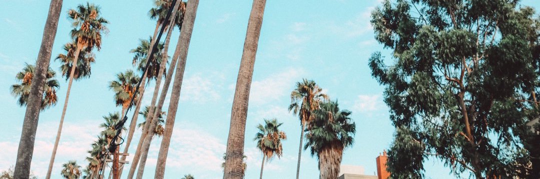 emmawattss's profile banner image