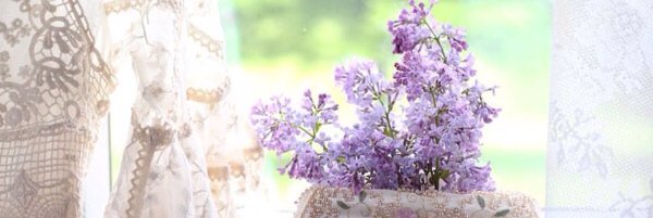 hsseai's profile banner image