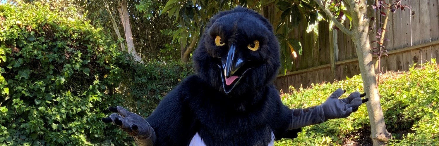 RudeBirdStudios's banner