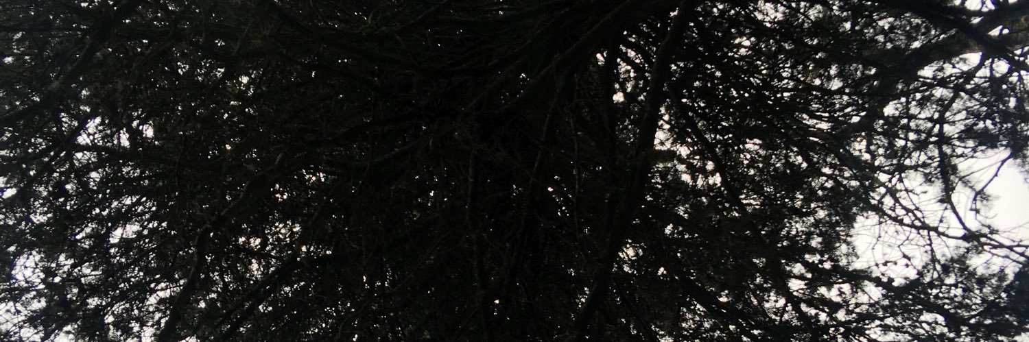 antoprovasi's profile banner image