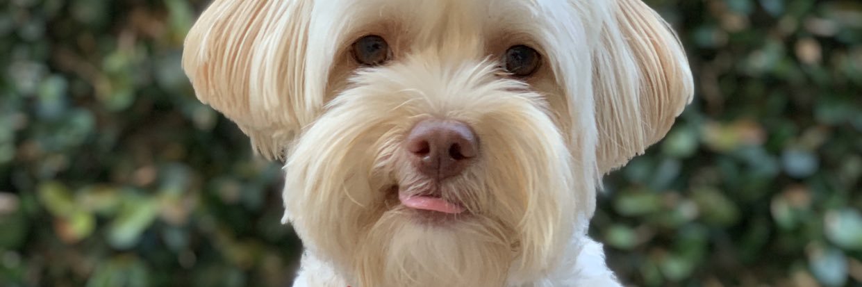 mrwinstonla's profile banner image