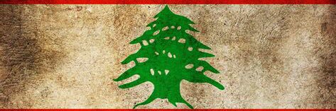 os28324780's profile banner image