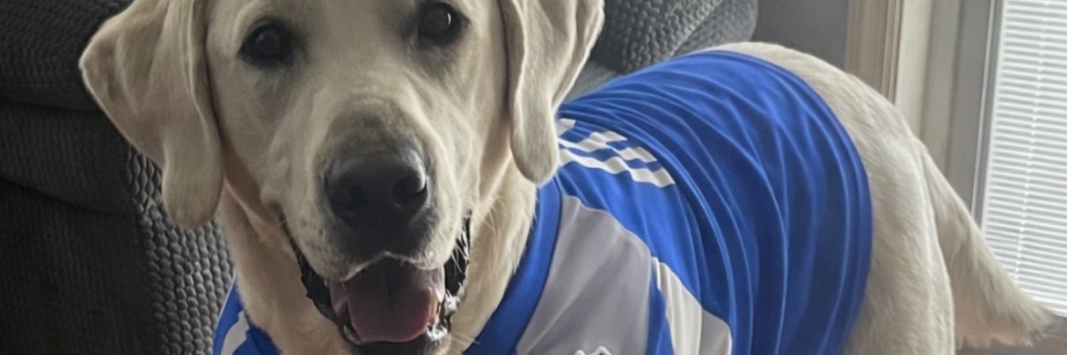 CornejoDouglas's profile banner image