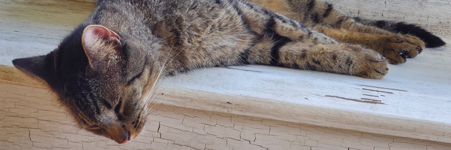 Charlie banner