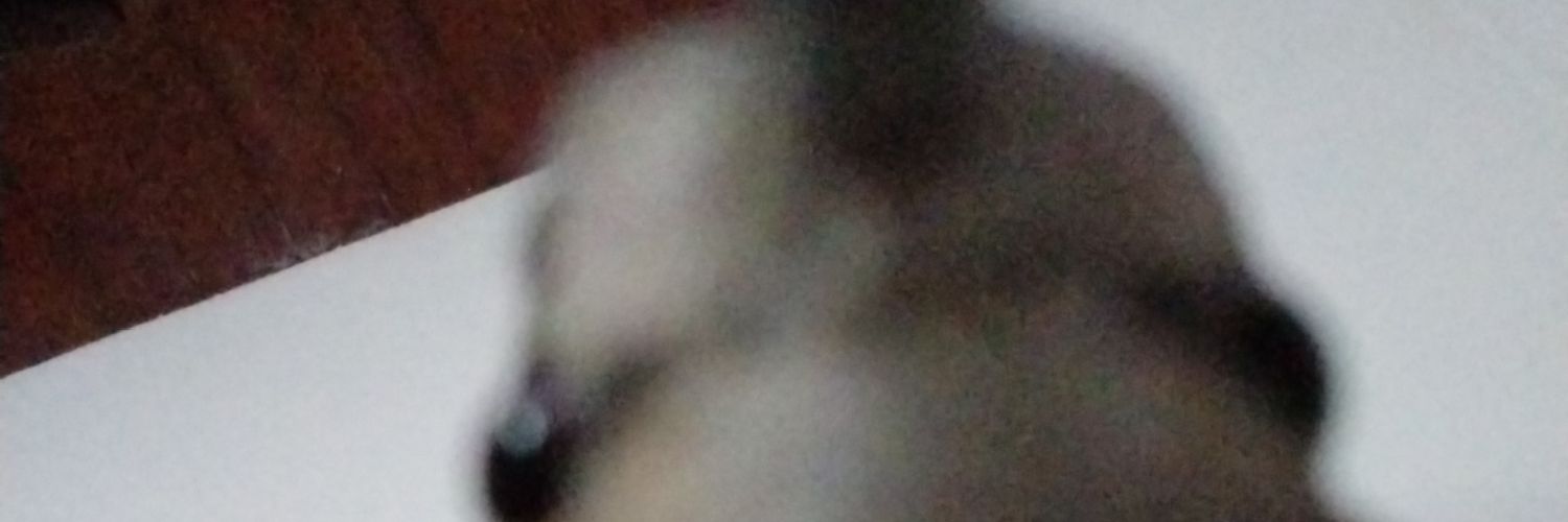 Pirulaaaaaaa's profile banner image