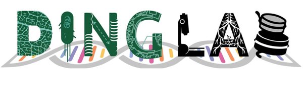 dinglab_plants Profile Banner