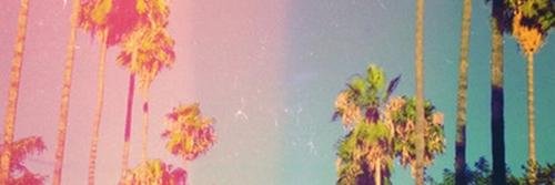 ShelleyDaily's profile banner image