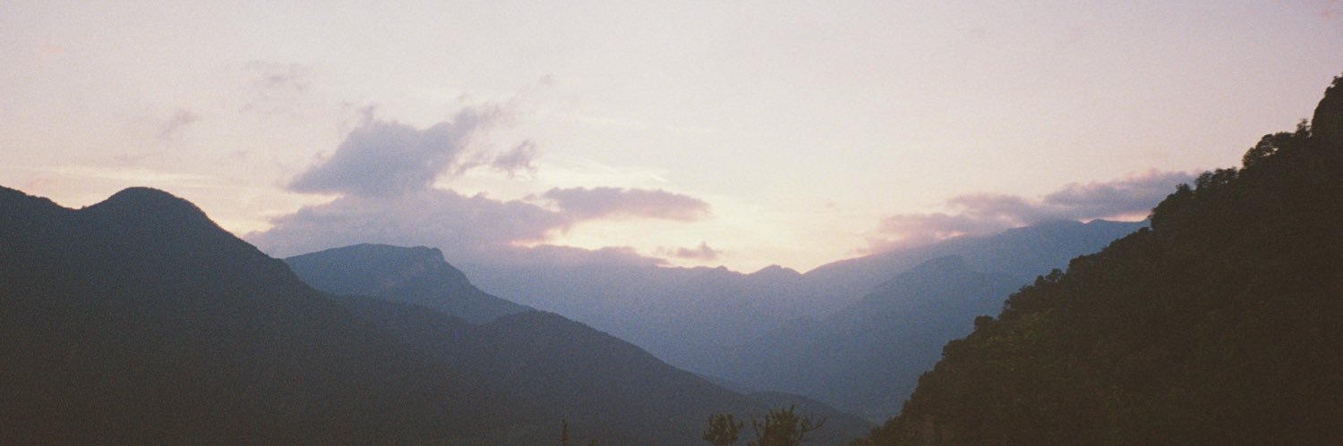 Berta banner