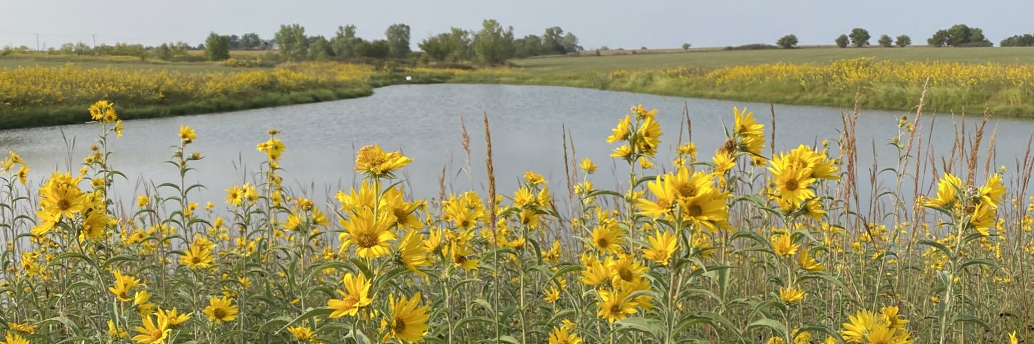 Rachel Schoonover banner