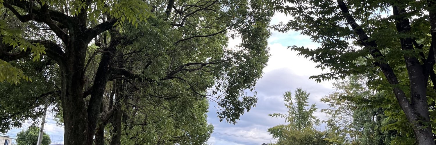 Lilyoriental8's profile banner image
