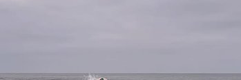 vrojas_val's profile banner image