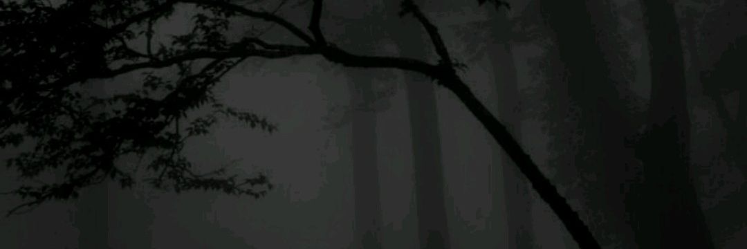 psyaid_'s profile banner image