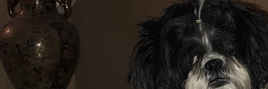 brandibustdown's profile banner image