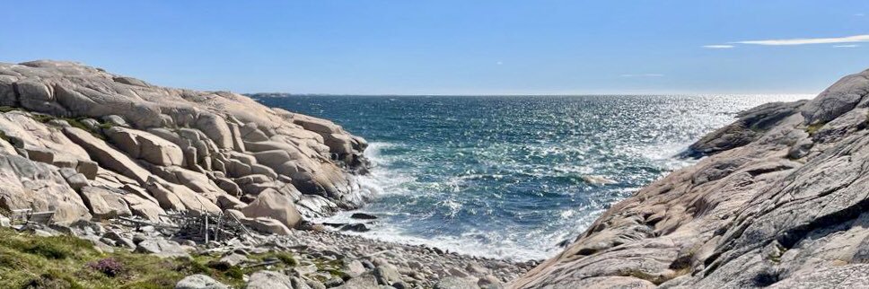 Jessica Edstorp banner