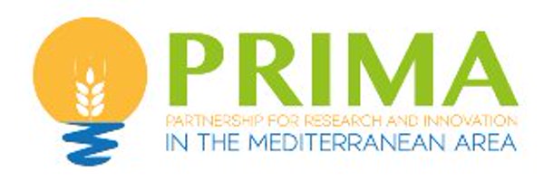 InTheMED Profile Banner