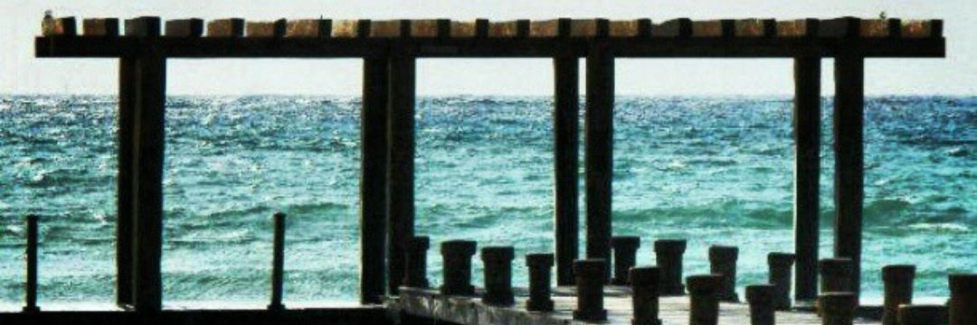 mamilcar's profile banner image