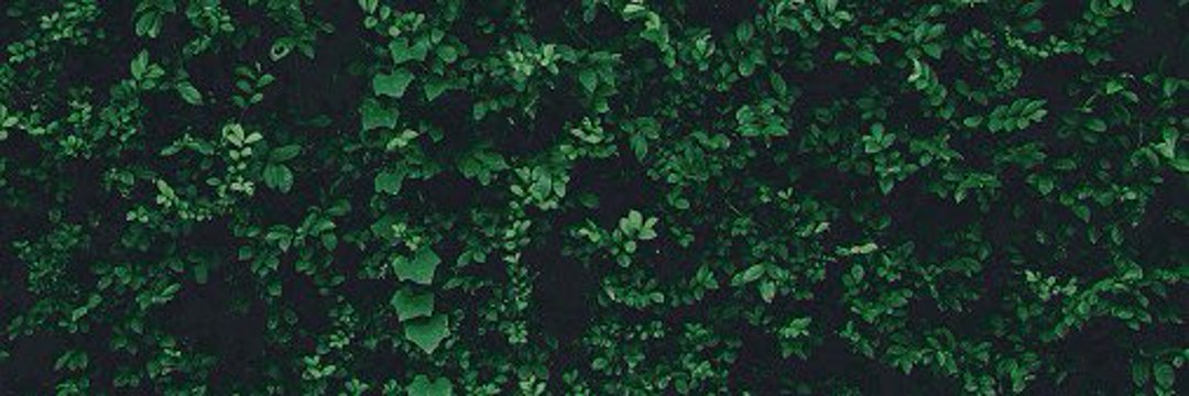 newviolent's profile banner image