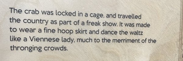 PeterCWatts Profile Banner