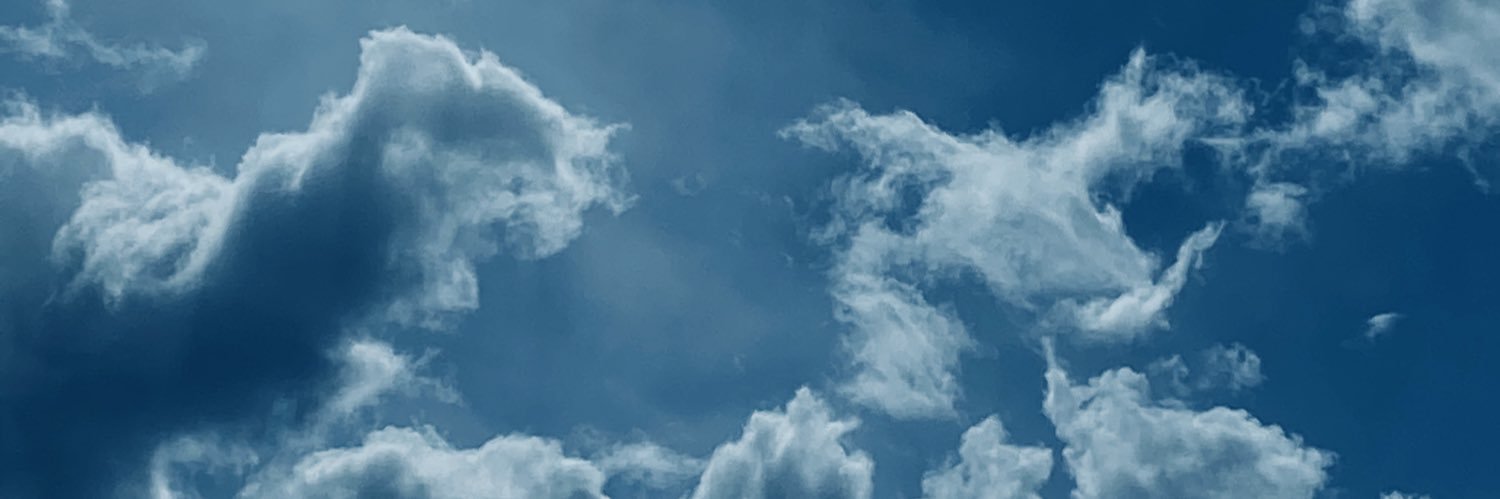 _emmarie's profile banner image